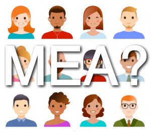 Model Element Author (MEA)